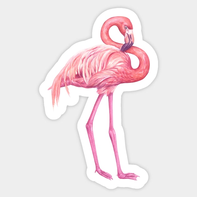 Flamingo Sticker by katerinamk